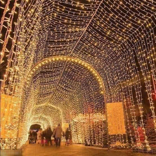 Serie de luces de 100 focos